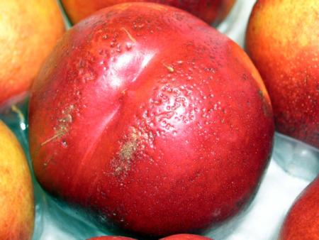 Nectarine Pitting