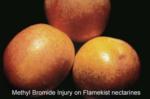 Methyl Bromide Injury (1)