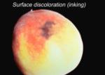 Surface Discoloration (Inking)